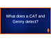 cat and genny detect